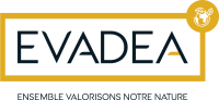 EVADEA PICTO BASELINE