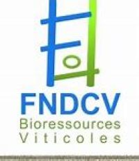 fndcv